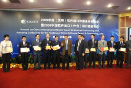 2009年中國沈陽軟件出口與服務(wù)外包峰會(huì) 共謀產(chǎn)業(yè)發(fā)展新篇章